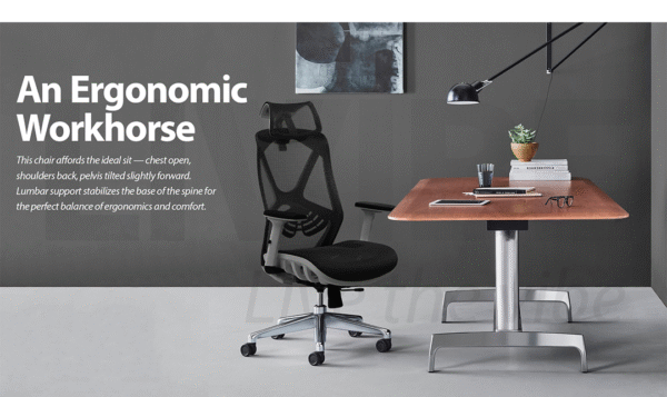 Supple Mesh Executive Ergonomic office Chair - Image 2