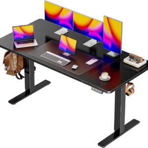 55 x 28 Large Electric Standing Desk, Height Adjustable Computer Desk