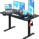 Electric Standing Desk Adjustable Height, 48 x 24 Inch Computer Desk