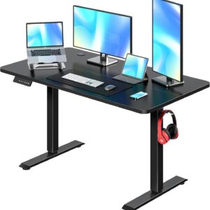 Electric Standing Desk Adjustable Height, 48 x 24 Inch Computer Desk