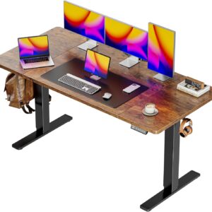 55 x 28 Large Electric Standing Desk, Height Adjustable Computer Desk