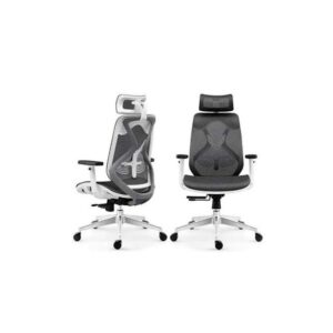 Ergonomic Home & Office Chair For Extra Comfort