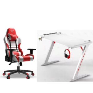 Furgle Gaming Costume Home Office Chair & Gaming Desk