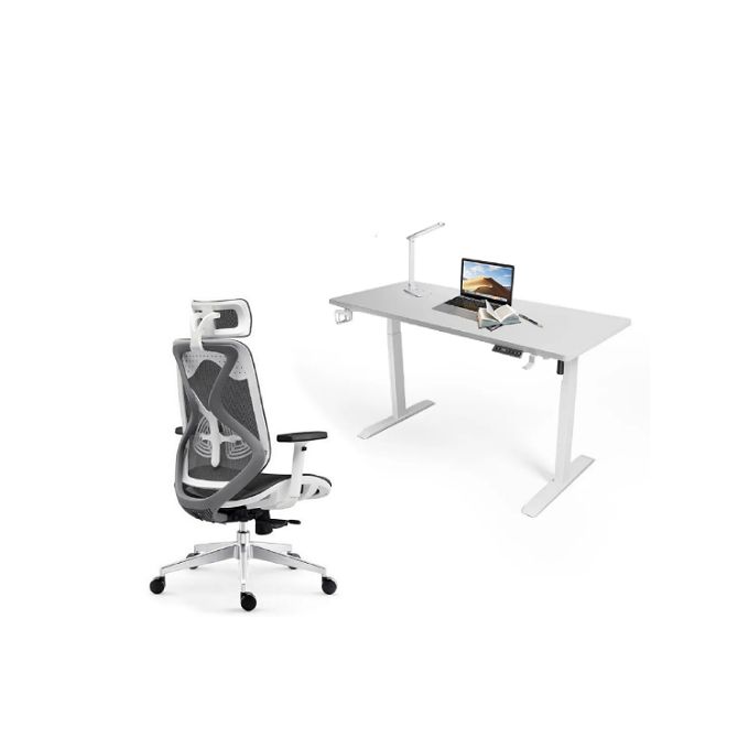 Ergonomic Office Furniture Set(Adjustable Desk & High Back Office Chair)