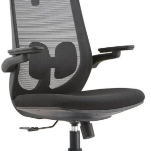 Ergonomic Chair