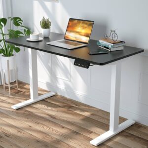 Ergonomic Standing Desk 28"-45" Height Adjustable Electric Sit Stand Desks