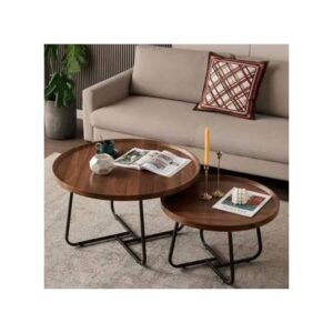 Minimalist Nesting Round Center Table