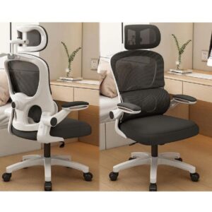 Ergonomic Design Office Chair with lumber support- Black & White