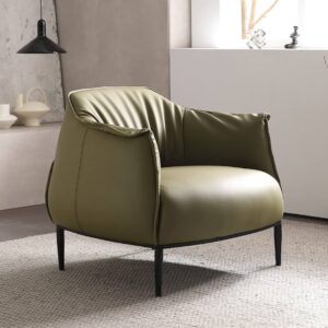 Accent Lounge Chair Arm Luxury Soft Fashion Lazy Sofa